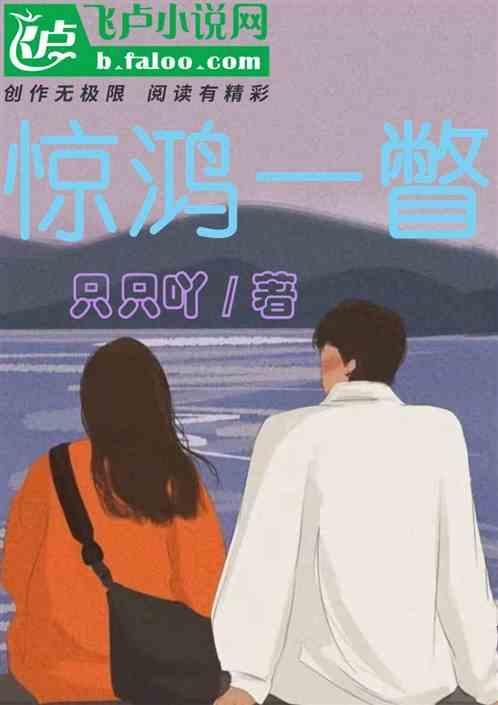 惊鸿一瞥歌词
