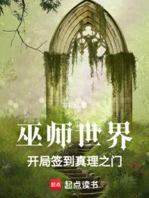 巫师世界顶点