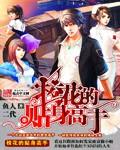 校花的贴身高手多少字