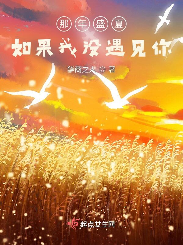 如果我没有遇见你作文600字