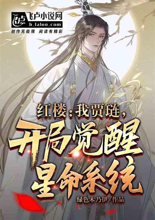 我是贾琏他哥红楼