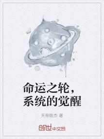 命运之轮怎么用