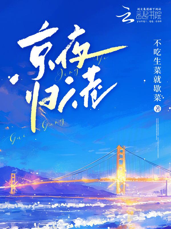 不夜归港免费阅读