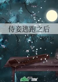 侍妾逃跑之后by凌风起全文阅读
