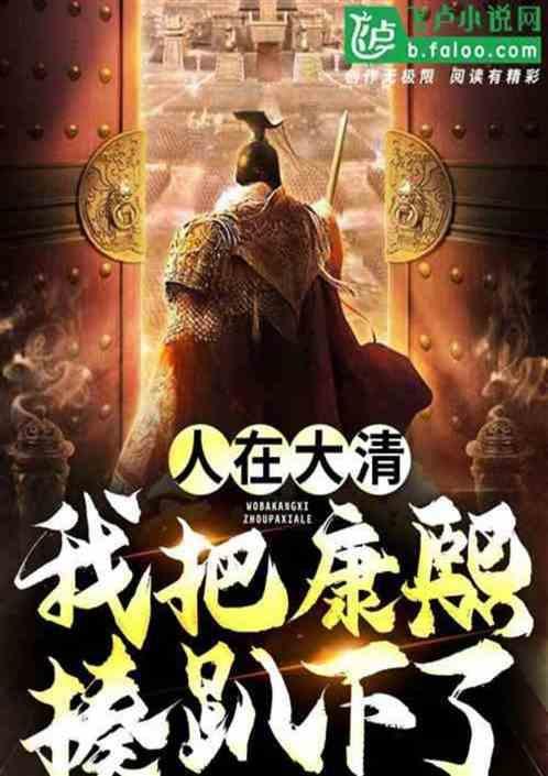假康熙是哪一集