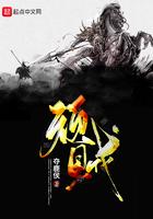 顽贼TXT