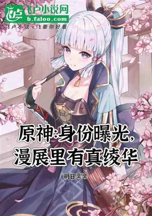原神神里绫华展示
