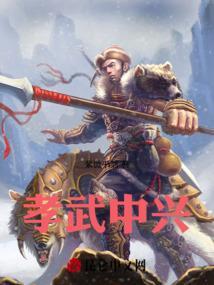 孝宣中兴电视剧