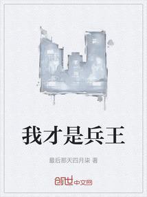 兵王我是反派