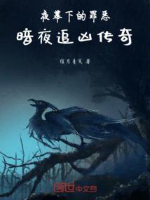 暗夜追凶不是何阳在线阅读