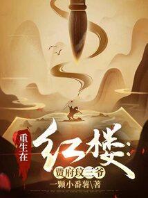 重生红楼之贾二爷