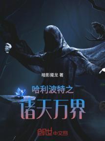 哈利波特之万界闪光