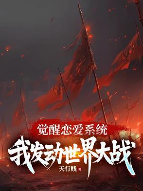 觉醒系统的
