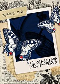 迷津蝴蝶TXT笔趣阁