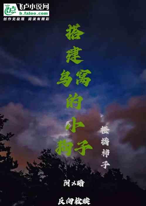 鸟窝搭建方式