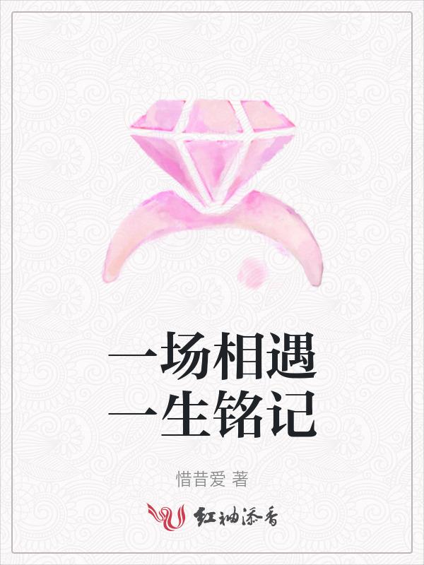 一场相遇一生铭记的诗句