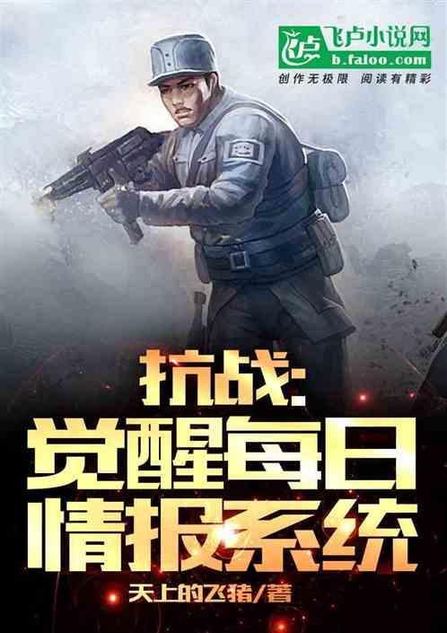 抗日之每日系统