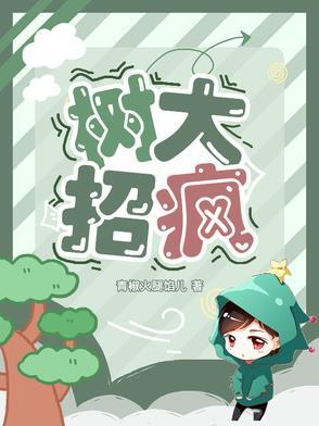 树大招风真实