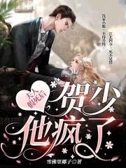 贺少夫人太磨人