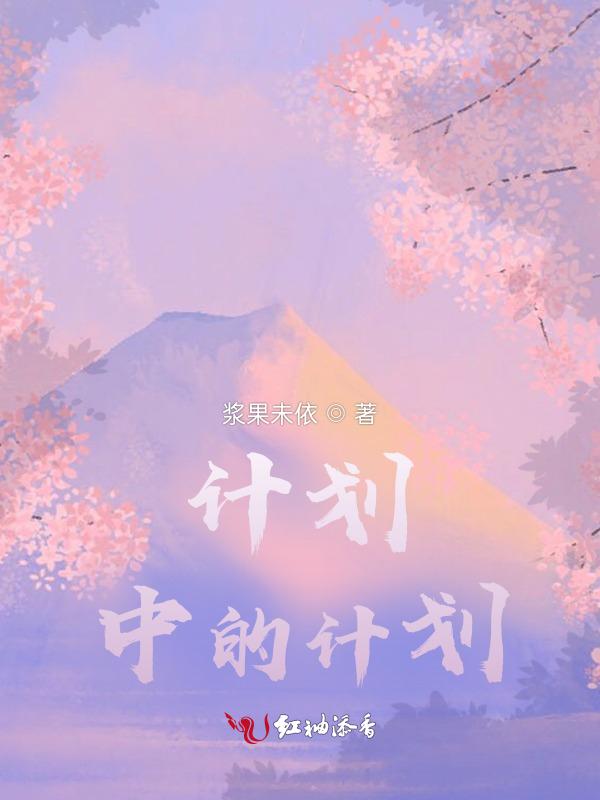 计划中的计划是什么