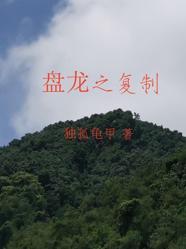 盘龙之传奇