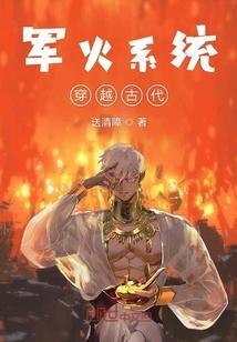 军火系统穿越
