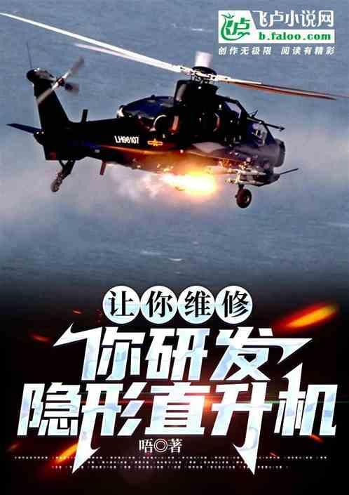隐形直升飞机是真的吗