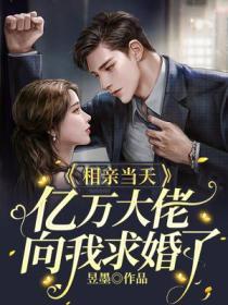 相亲当天亿万大佬向我求婚了TXT
