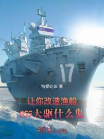 055大驱下水几艘了