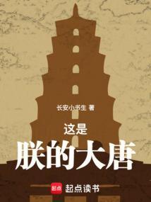朕的大唐有属性txt