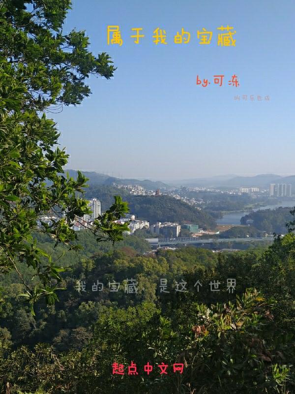宝藏是我的游戏
