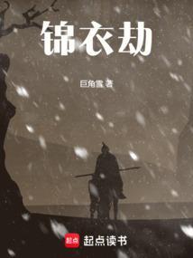 锦衣劫讲的什么