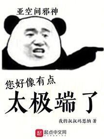 您好像有点太极端了英文