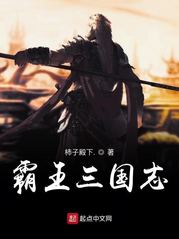 霸王三国志2里的战利品怎么获得