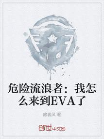 危险流浪者危险流浪者