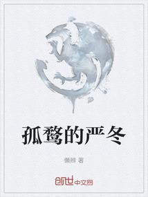 孤鹜长什么样
