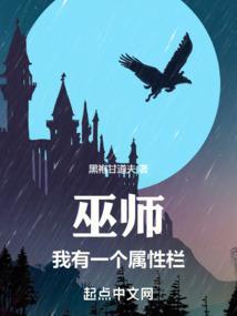 巫师系列