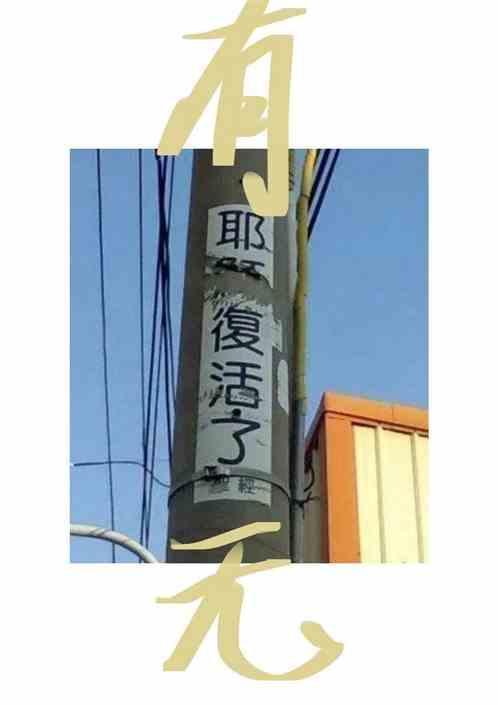 有无核荔枝吗