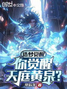 造梦西游ol觉醒石是什么