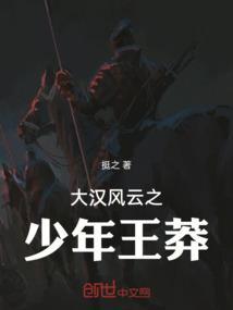 大汉风云8