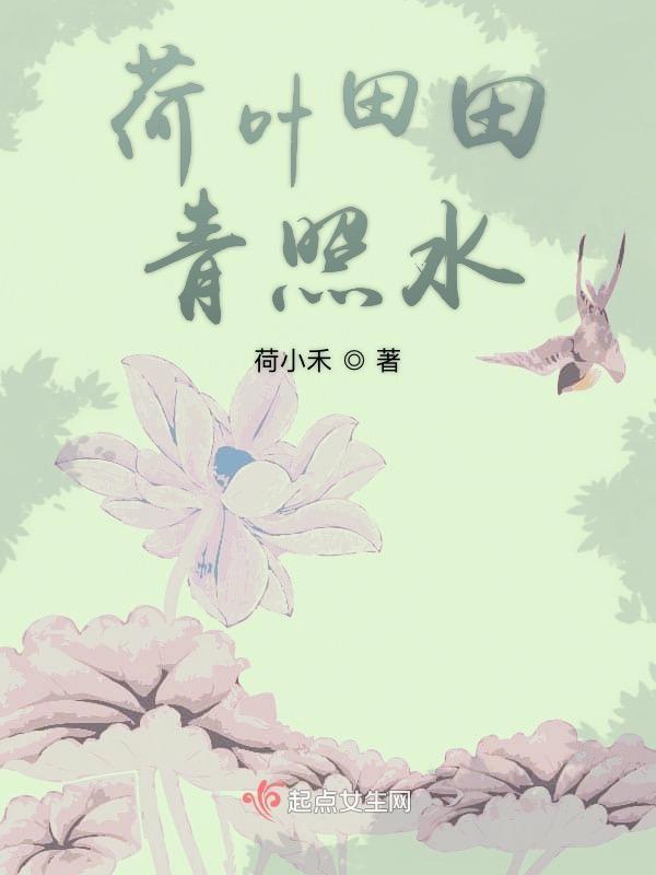 田田荷叶好