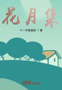 花月总共多少集