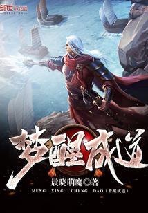 夏亦初权易完结