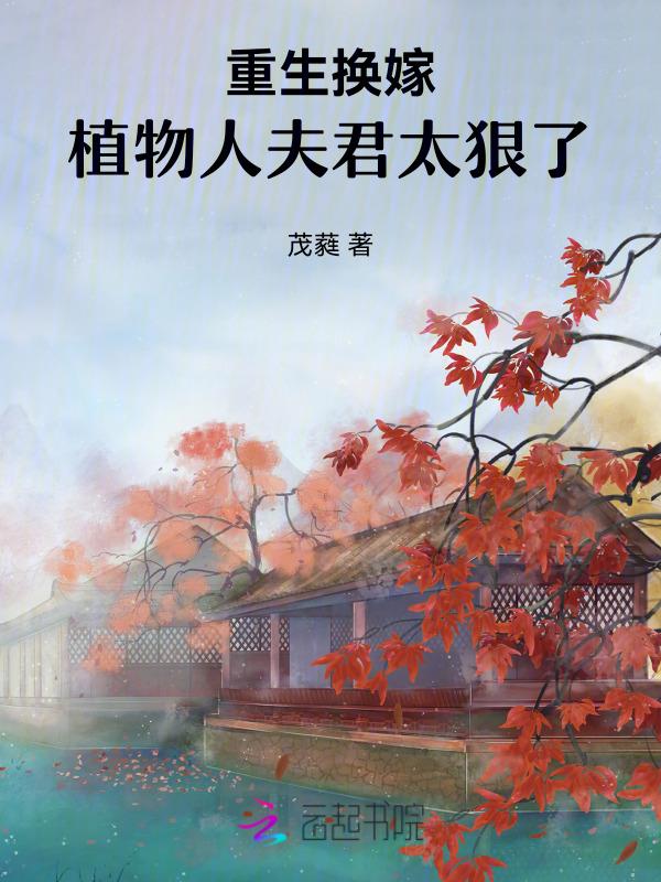重生之换亲军婚