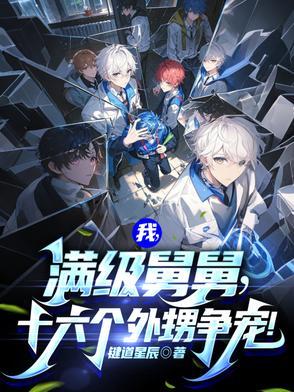 我满级舅舅十六个外甥争宠哪里可以看