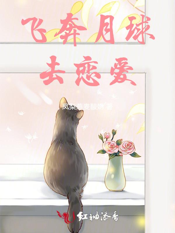 飞奔去月球全集