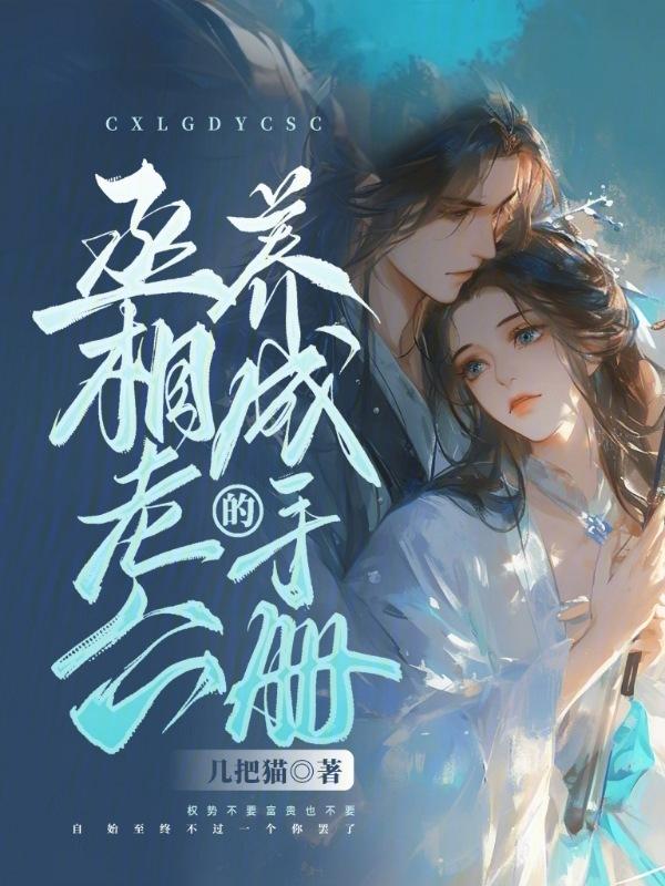 丞相养成手册