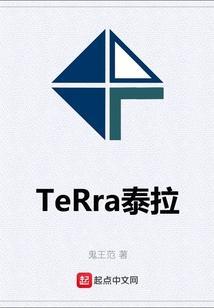 泰拉 pro