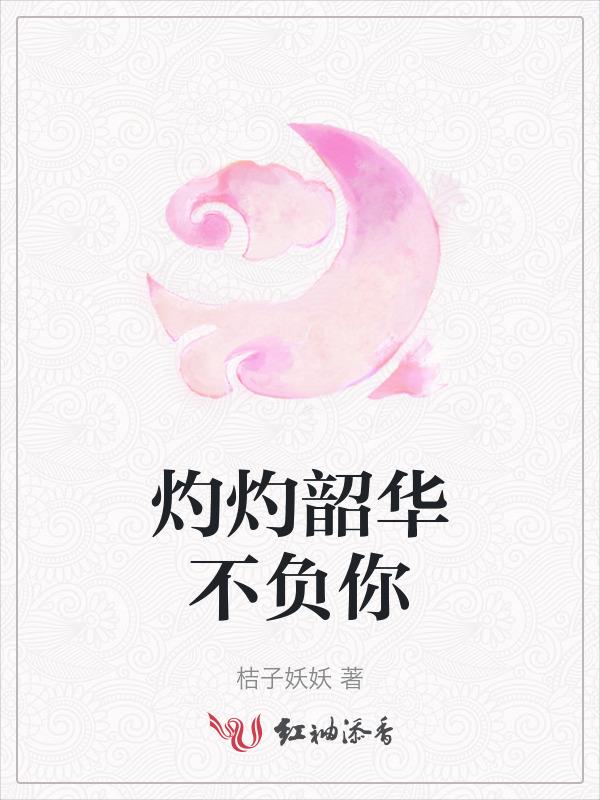灼灼韶光的意思