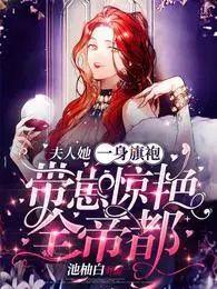 夫人免费阅读